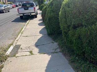 Gloria B.'s Bush Trimming service result