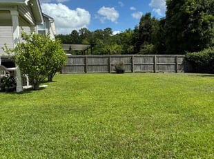 Craig D.'s turf care service result