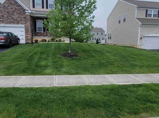 Shelly J.'s lawn maintenance service result