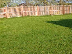 Mark S.'s turf maintenance service result
