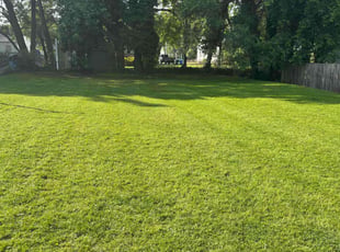 Tiffany H.'s turf maintenance service result