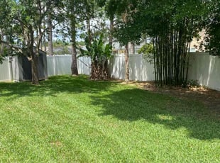 Andrea R.'s grass maintenance service result