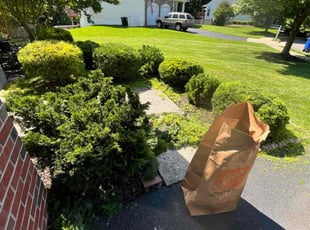 James O.'s Bush Trimming service result