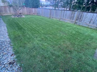 Gary M.'s lawn care service result