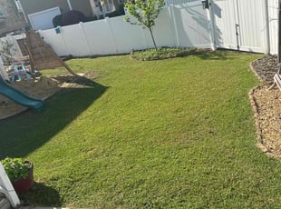 Ron S.'s lawn maintenance service result