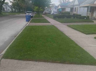 Denise B.'s turf care service result