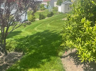 Brittney M.'s grass cutting service result