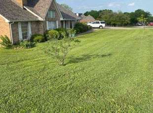 Gary S.'s grass maintenance service result