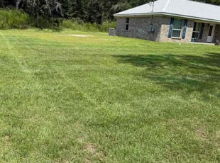 Pat C.'s grass cutting service result