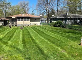 Alonzo R.'s lawn care service result