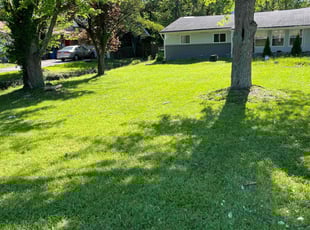 Eugene R.'s turf maintenance service result