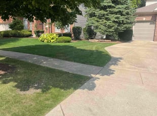 Winona C.'s lawn maintenance service result