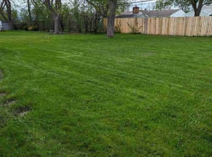 Devante N.'s turf care service result