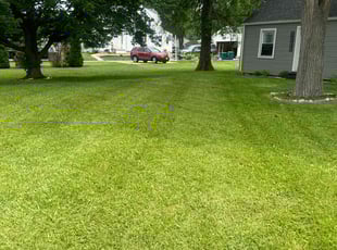 Fredrick U.'s grass maintenance service result