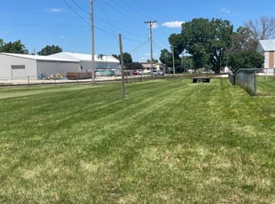 Sara W.'s lawn care service result