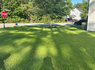 Kody A.'s grass cutting service result