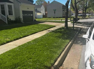 Fabrice L.'s lawn maintenance service result
