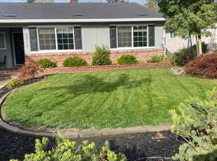Wendy P.'s lawn maintenance service result
