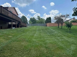 Joel S.'s turf maintenance service result