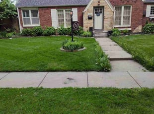 Ronnie S.'s lawn care services service result