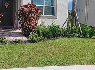 Randy P.'s turf care service result