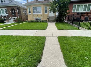 Thomas G.'s grass maintenance service result