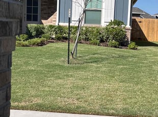 Andrew S.'s Bush Trimming service result