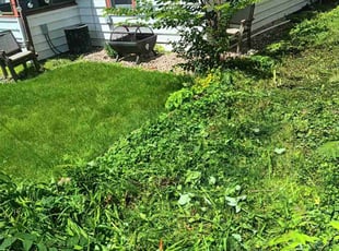 Flint B.'s Cleanups service result