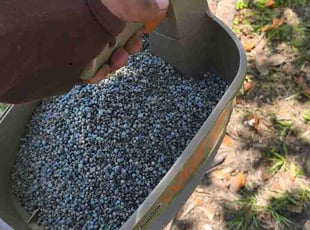 Julian W.'s Garden Maintenance service result