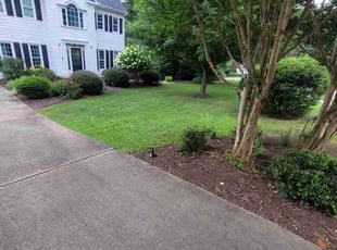 Loren L.'s turf maintenance service result
