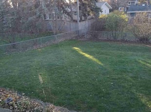 Ronald S.'s Leaf Removal service result