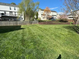 Kelly L.'s lawn service service result