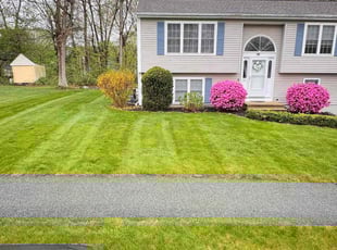 Jimmy L.'s lawn maintenance service result