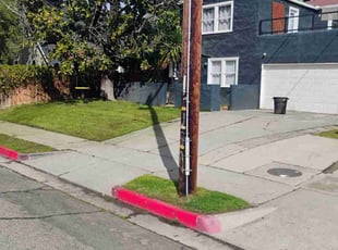 Jeff S.'s grass maintenance service result