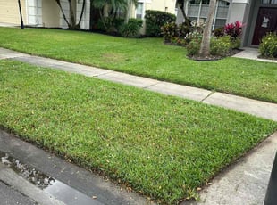 Helga G.'s grass maintenance service result