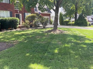 Tracey E.'s turf maintenance service result