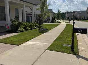 Jackie B.'s grass cutting service result