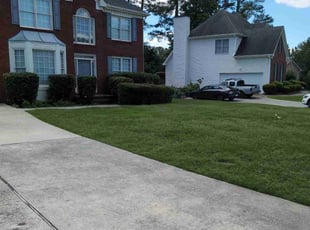 Luke D.'s lawn maintenance service result