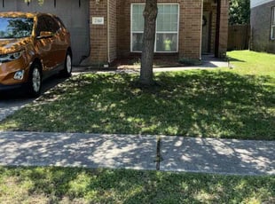 Ronald B.'s yard maintenance service result