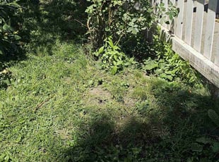Joe J.'s Bush Trimming service result