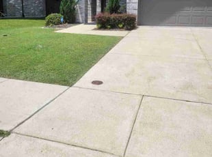 Liv M.'s yard care service result