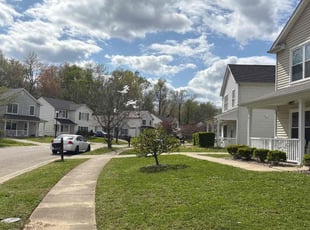 Stephen Z.'s turf care service result