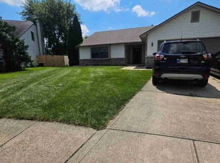 Tara T.'s turf maintenance service result