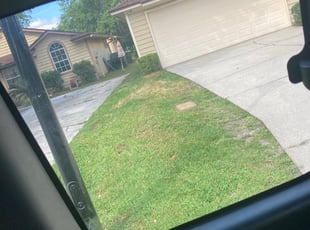 John D.'s Bush Trimming service result