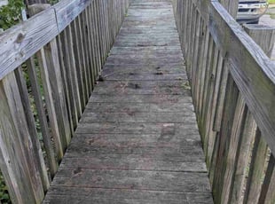 Edgardo R.'s Long Grass Cleanup service result