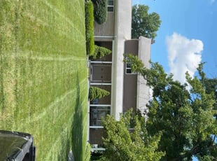 Zachery P.'s turf care service result