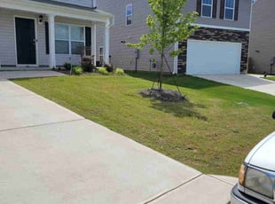 Nichole N.'s lawn service service result
