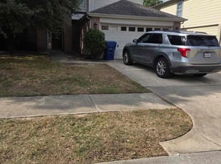 Shelly F.'s grass cutting service result