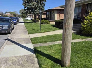 Matthew P.'s turf maintenance service result