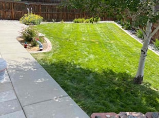 Valerie A.'s lawn care services service result